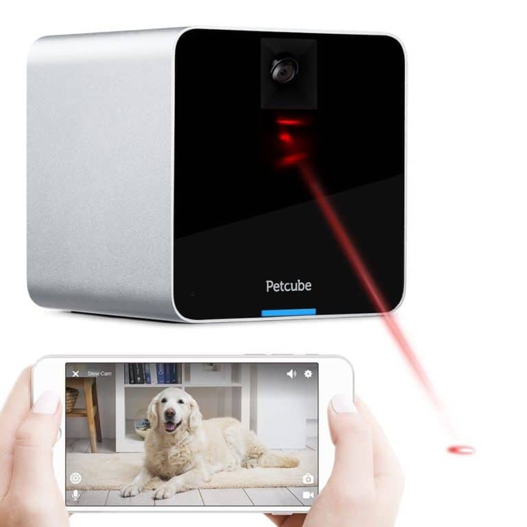 The Best Pet Camera of 2024? Dog Cameras Reviewed (January 2024)