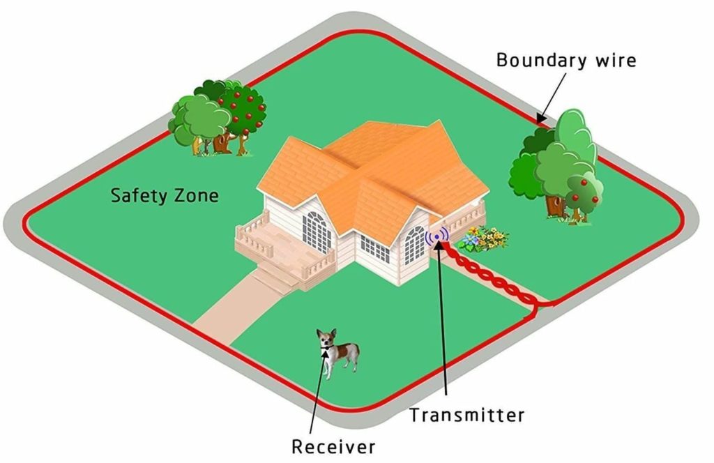 Best Wireless Dog Fence The Top Dog Fences Reviewed (January 2024)