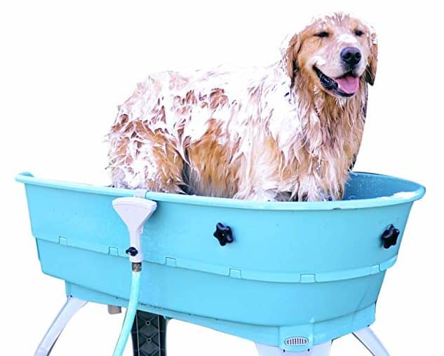 Best Dog Bath Tub of 2024 Top Bath Tubs for Dogs Reviewed