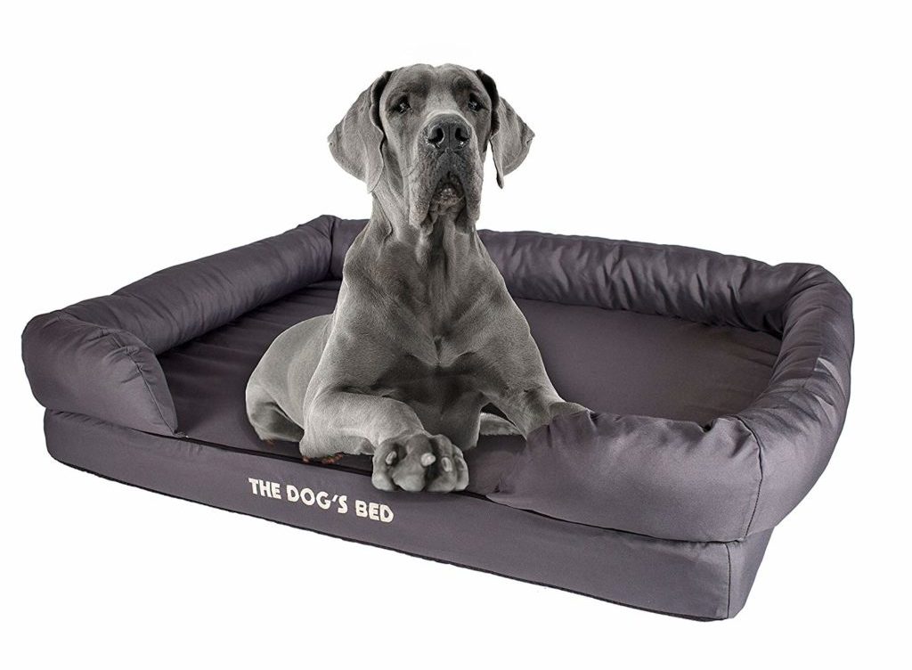 harmony memory foam couch dog bed