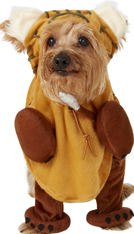 small dog halloween costume